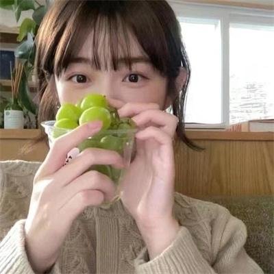 蒙巴纳斯